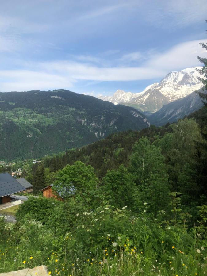 Studio Turquoise Quartier Grattague Vue Montblanc Saint-Gervais-les-Bains Dış mekan fotoğraf