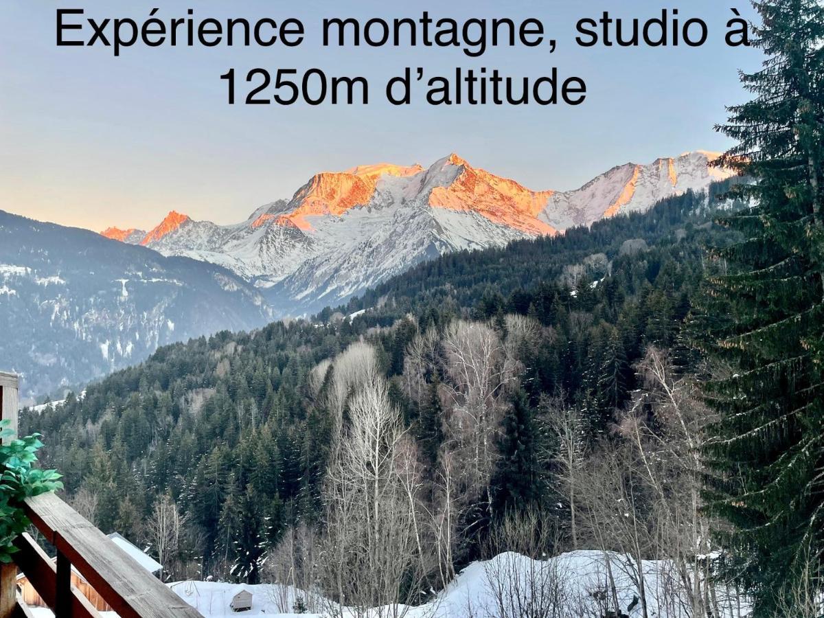Studio Turquoise Quartier Grattague Vue Montblanc Saint-Gervais-les-Bains Dış mekan fotoğraf